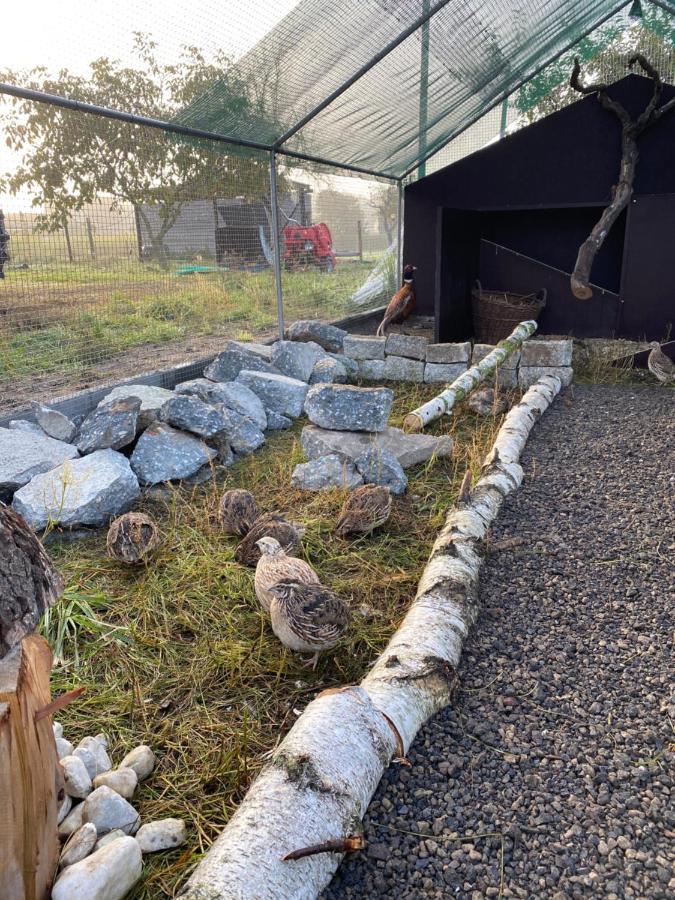 Ferienwohnung Auf Dem Bauernhof コットブス エクステリア 写真